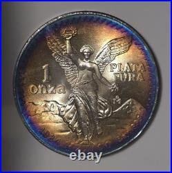 1984 Mexico Libertad Silver 1 Ounce Silver Rainbow Bullseye MONSTER TONED TONER