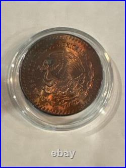 1985 1 oz 999 Silver Mexico Libertad Pura Plata Coin Limited Toner Beautiful BU