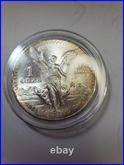 1985 Bu Libertad
