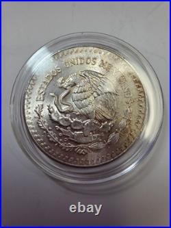 1985 Bu Libertad