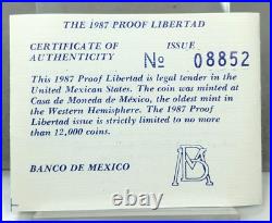 1987 MEXICO PROOF Libertad 1oz 999 Silver Coin MISSING FEATHERS Variety