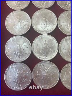 1993 Mexican Libertad 1 Onza. 999 Silver Brilliant Uncirculated Roll (20 Coins)