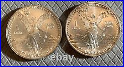 1993 Mexico Libertad Silver Coin X2 Coins Lot Bu 1993 Mexico Libertad Silver Coin X2 Coins Lot Bu