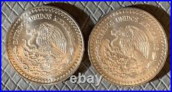 1993 Mexico Libertad Silver Coin X2 Coins Lot Bu 1993 Mexico Libertad Silver Coin X2 Coins Lot Bu
