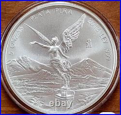 2013 Mexican 5 oz Silver Libertad BU (In Capsule)