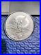 2014-Mexico-BU-Silver-5-oz-Mexican-Libertad-Coin-in-direct-fit-capsule-01-dy