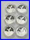 2015-2020-1-10-oz-Mexican-Silver-Libertad-Coin-Proof-BU-In-Capsules-Lot-Of-6-01-uao