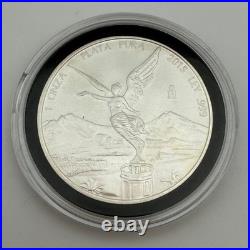 2015 Mexico 1 Onza Plata Pura Libertad. 999 Fine Silver Coin 1oz Bullion S206