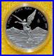 2016-1-oz-Mexico-Silver-Libertad-Proof-Coin-in-Capsule-Low-Mintage-01-iuzw