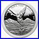 2020-Mexico-Libertad-1-oz-999-Silver-EXTREMELY-LIMITED-RARE-MINTProof-Coin-01-zgnt