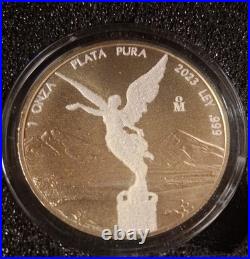 2023 Mexican Libertad Diamond Dust 24kGold Finish Coin1oz Silver STUNNING