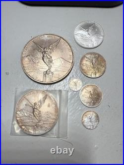 2023 Mexican Libertad Set Of 7 Toned Condition. 5ozt, 2, 1, 1/2, 1/4, 1/10, 1/20 2023 Mexican Libertad Set Of 7 Toned Condition. 5ozt, 2, 1, 1/2, 1/4, 1/10, 1/20