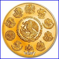 2024 1 oz Mexican Libertad Calavera Dorada 24k Gold Gilded Colorized Silver Coin 2024 1 oz Mexican Libertad Calavera Dorada 24k Gold Gilded Colorized Silver Coin