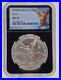 2024-Libertad-Mexico-1-Onza-Fine-Silver-999-MS-70-NGC-01-or