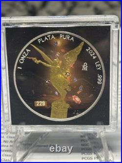 2024 Mexican Silver Libertad Dia del Juego #229 of only 250