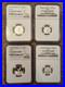 Fractional-Proof-Mexico-Libertad-Lot-999-Silver-Coin-Plata-Pura-NGC-PF-69-01-qplz