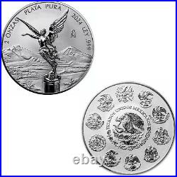 Mexican Libertad 2 oz reverse proof silver coin 2024