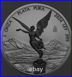 Mexico 2024 1oz Silver Libertad Ruthenium with Black Platinum Colorized Coin