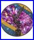 RARE-2024-Mexico-Libertad-Celestial-Prism-Edition-1-oz-Silver-Coin-01-klt