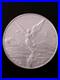 Read-Desc-2013-Mexican-Libertad-Mo-1oz-999-Silver-Bullion-Coin-BU-01-mln