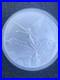 Uncirculated-Silver-1-oz-Libertad-5-Piece-2017-17-20-21-21-total-of-5-ounces-01-ilse